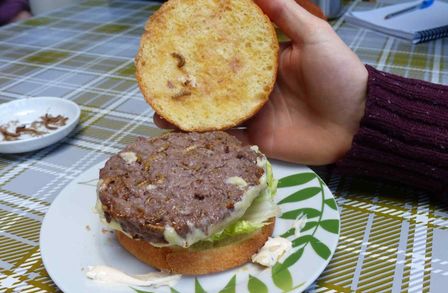 Mealworm burger patty