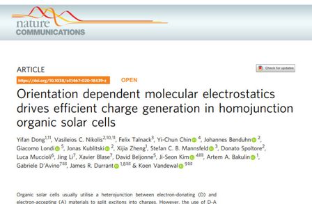 Orientation dependent molecular electrostatics drives efficient charge generation in homojunction organic solar cells