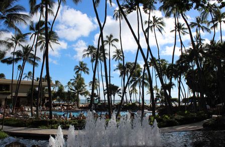 Picture of palm trees and fountain at the hawaii hilton village in Honolulu
