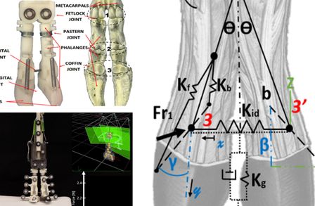 Computational role of mechanical joints