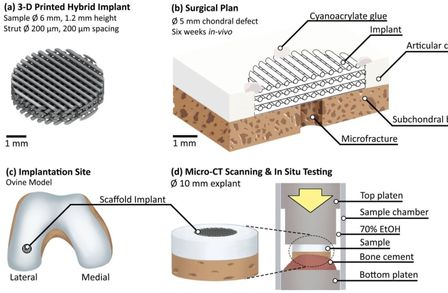 Chondral repair study using micro CT to measure strains