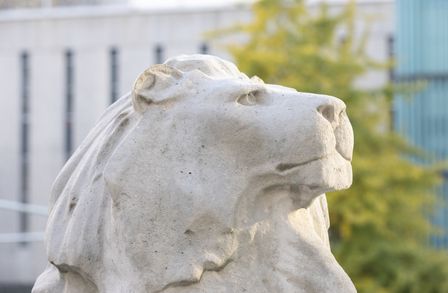 Lions on Queen's Lawn