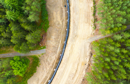 Gas pipeline surrounded by trees