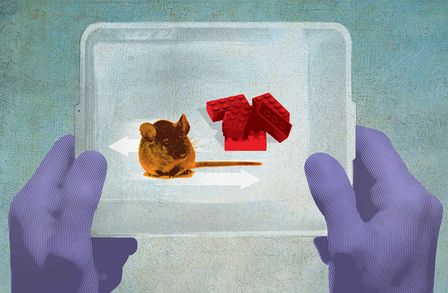 An illustration showing a mouse and lego bricks in a tray held by two hands