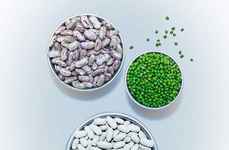 Two bowls of dried beens and a bowl of fresh green peas