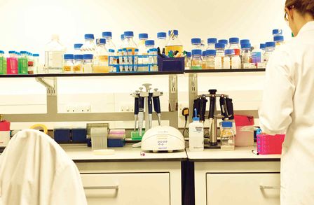 A scientist working at a lab bench