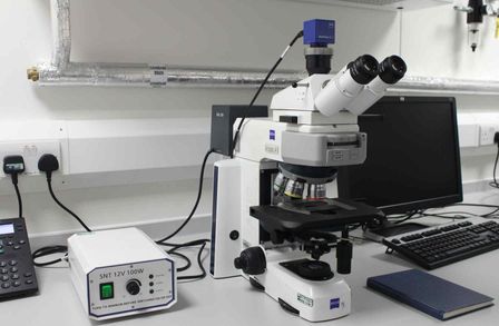 Compound Optical Microscope