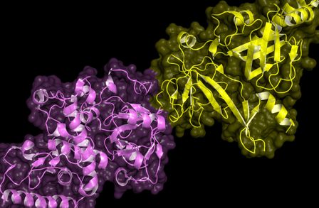 Single cell genomics