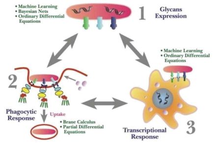 Centre of Excellence in Integrative Systems Biology and Bioinformatics