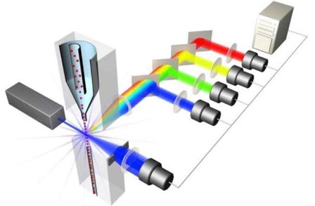 Flow Cytometry Facility