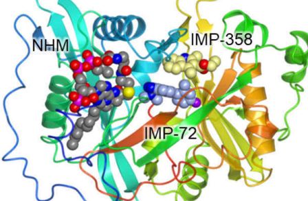 Structural Biology