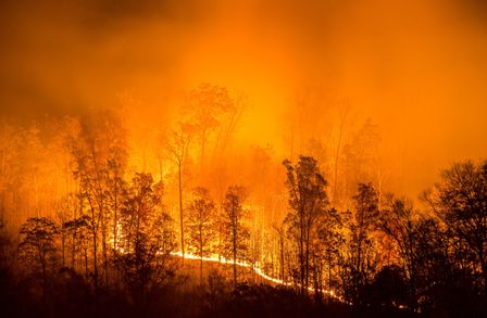 Living Sustainably with Wildfires