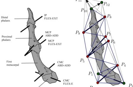 Biomechanics of manipulation