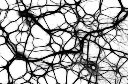 Artist impression of neural networks that look like a complex black web over a white background. Gerd Altmann for Pixabay.