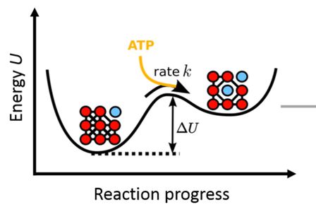 Theoretical biological physics 