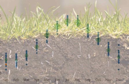 soil temperature