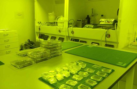 Microfabrication Wet lab
