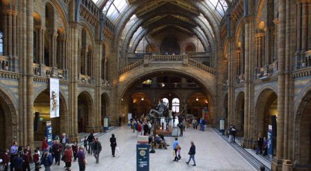 Natural History Museum