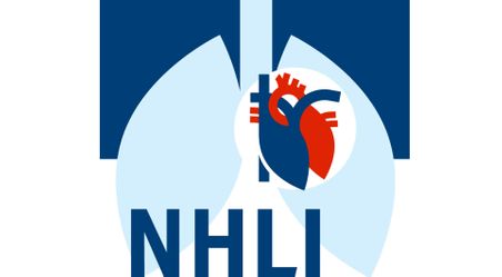 NHLI twitter logo