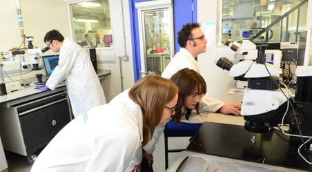 Students in lab