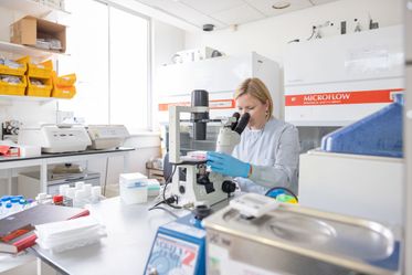 A researcher looks through a microscope