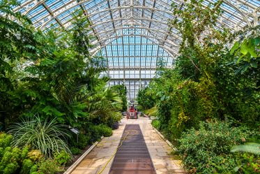 Greenhouse with plants