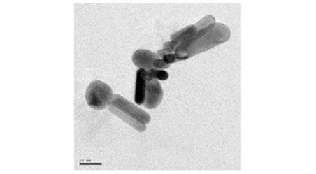 Au nanoparticles and Convergent beam diffraction pattern 1