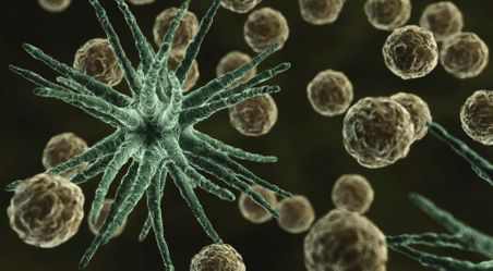 Allergy short courses