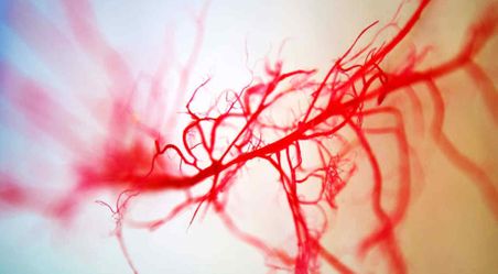 Haematology short courses