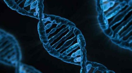 DNA