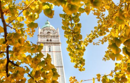 Imperial tower in fall