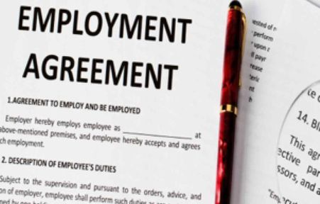 terms of employment image