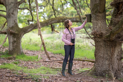 Scientist looking up at tree