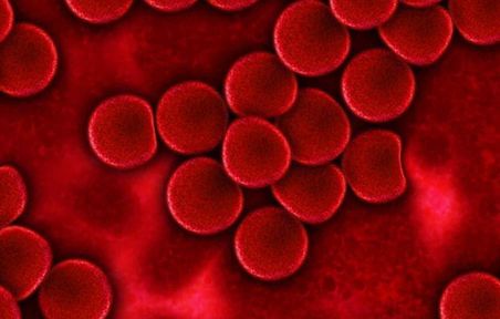 Blood cells