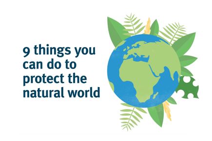 The text 9 things you can do to protect the natural world, alongside a graphic of a globe surrounded by foliage