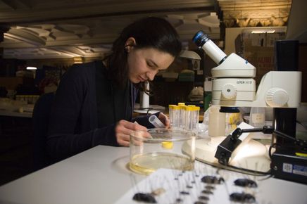 Student in a lab