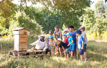 Alex Hayward from the Honeybee Society shows children a bee hive at the Silwood Park Campus