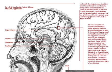 Scientist's Brain