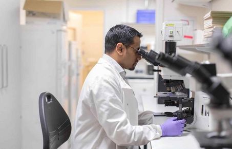 Researcher looking through microscope