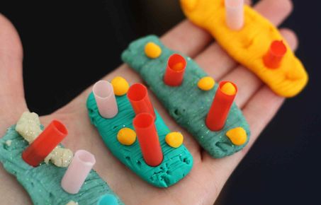 Plasticine cells on hand