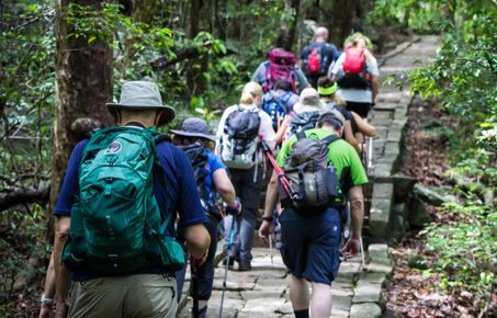 students in walk in forest