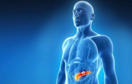 Pancreas location in body