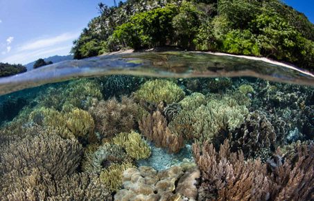  Shallow Reef and Island in Raja Ampat c Velvetfish