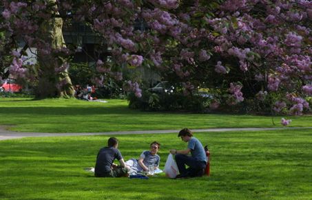 Students relaxing on grass