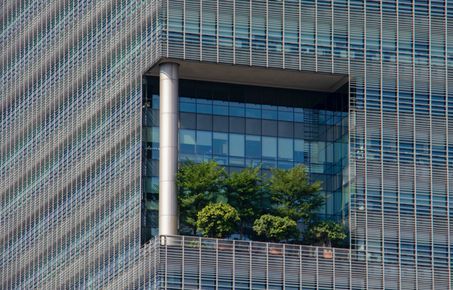 Plants on building