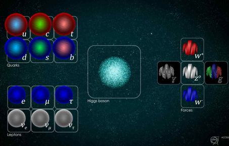 standard model