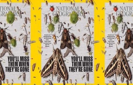 Nat Geo Graphic