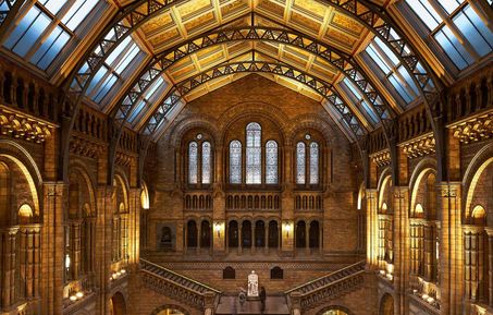 The main room at the Natutral History Museum