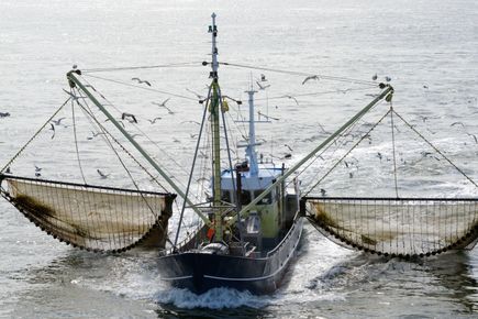 Overhead view of a large fishing vessel on the sea
