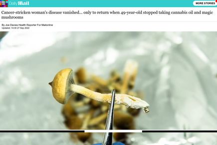 An image of the daily mail article with a picture of mushrooms